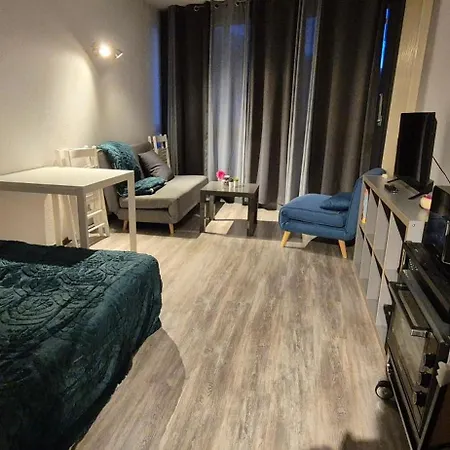 Moderne Au Pied Des Pistes *